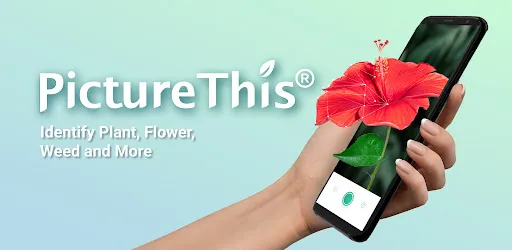 PictureThis - Plant Identifier