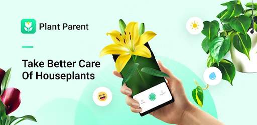 Plant Parent: Plant Care Guide