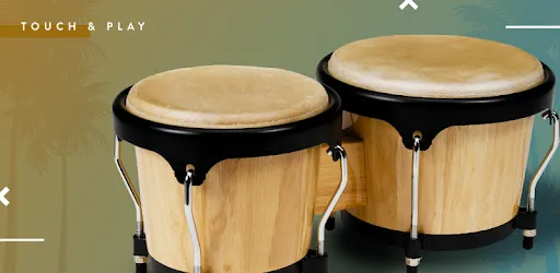 Congas & Bongos: percussions